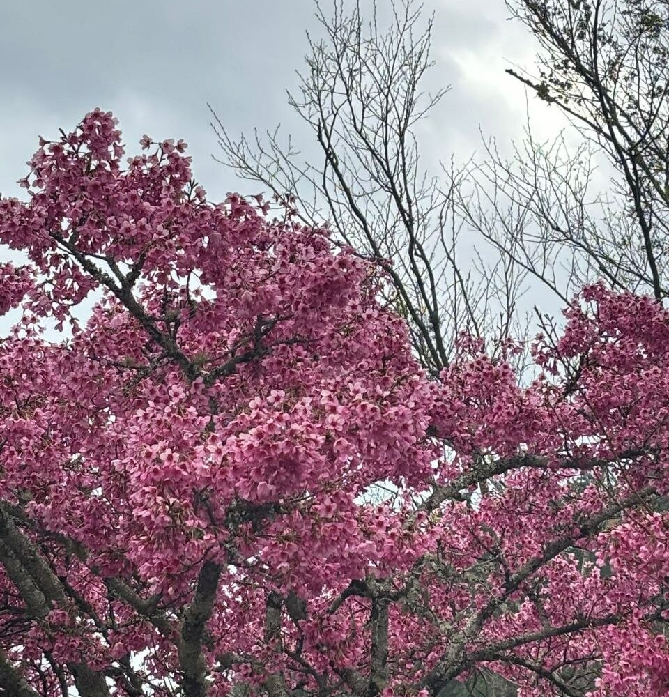 מזמינה אותך בבאר שבע מזמינה אותך בבאר שבע