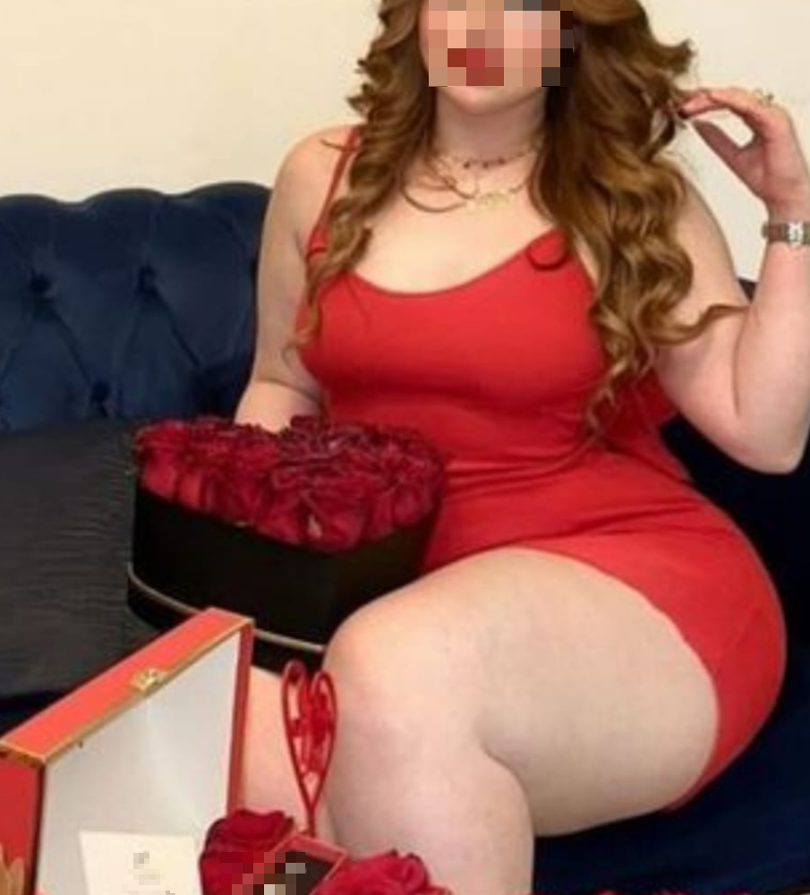 The perfect of the north The perfect of the north