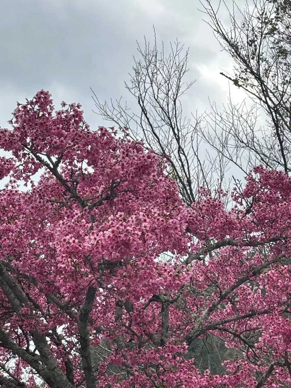 מזמינה אותך בבאר שבע